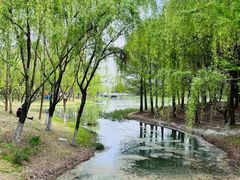 -尚贤河湿地