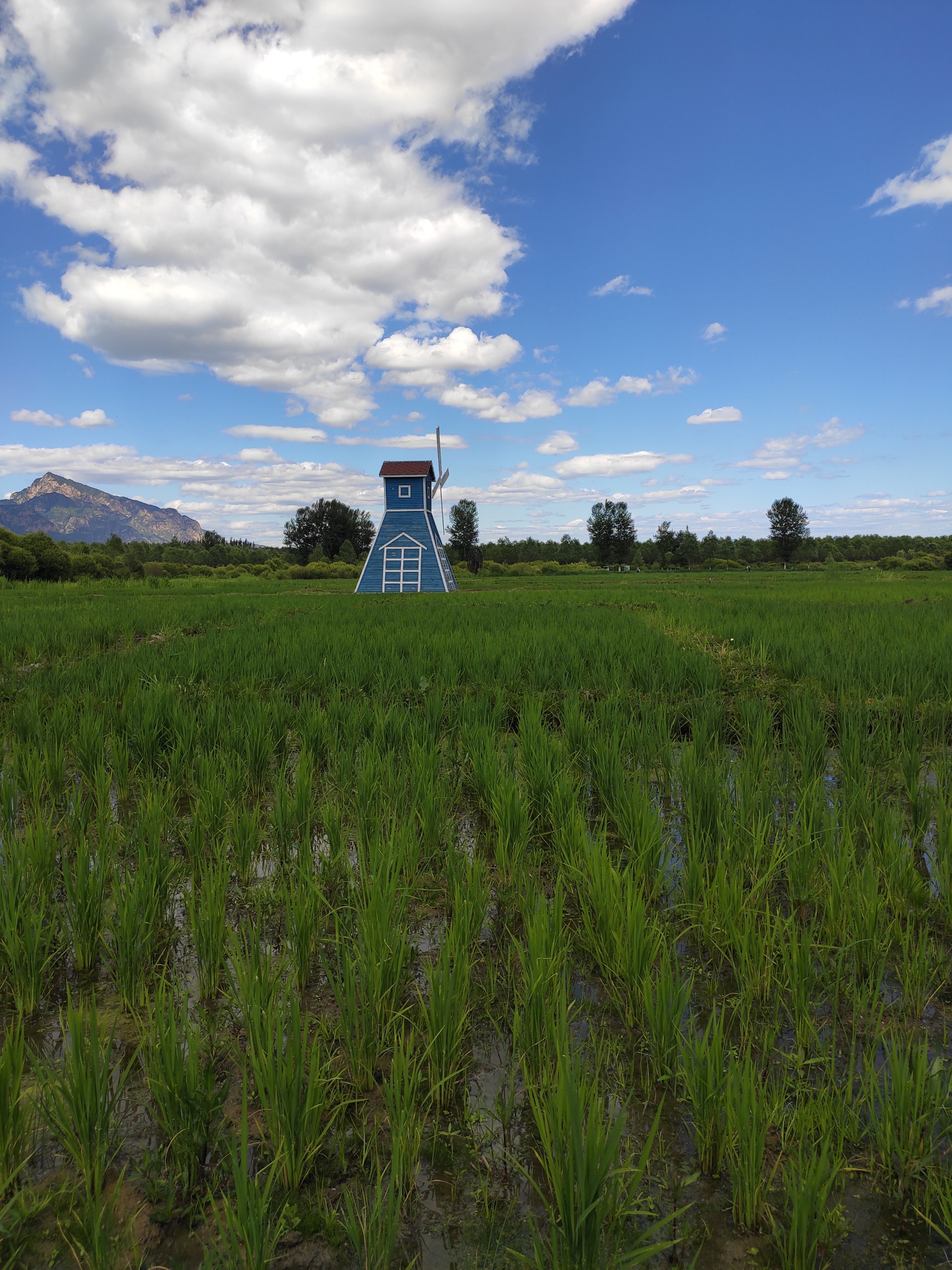 张山营天气预报预报