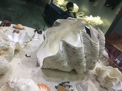 -福州罗源湾海洋世界旅游区