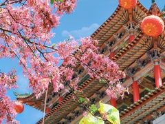 -东莞观音山旅游风景区