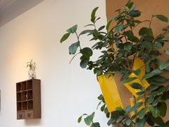 -沏点Trattoria意大利餐厅(新街口店)