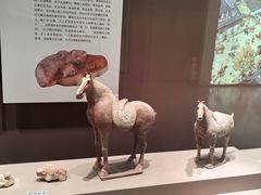 -西安大唐西市博物馆