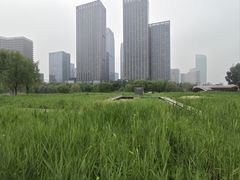 -西海子公园