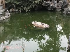 -华林禅寺
