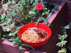 -同济大学-北苑食堂