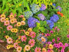 -人民公园(罗湖区)