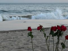 -北戴河转鱼·炒螃蟹酱餐厅