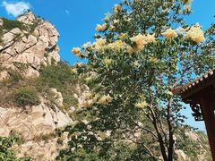 -大岭沟猕猴桃谷风景区