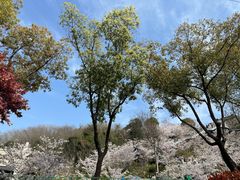 -幕燕滨江·长江观音景区
