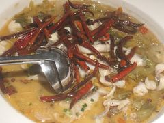 -渔见·精品川菜·老坛酸菜鱼(大朗店)