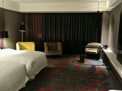 -南京禄口机场雅高铂尔曼大酒店
