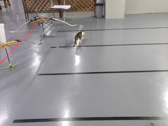 -蓝天射箭馆·专业射箭运动(诚丰广场店)