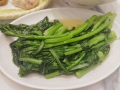 炒菜心-春梅里卤鹅馆·47年老字号(中山路店)