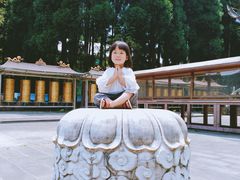 -武陵山森林公园