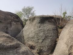 -白水寺森林公园