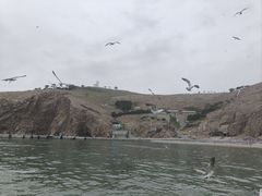 -海驴岛(荣成市)