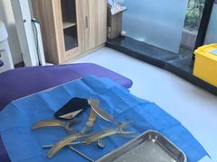 -维乐口腔(格林门诊长宁店)