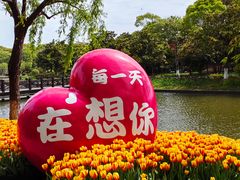 -上海鲜花港