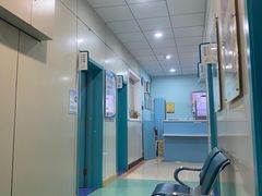 -北京观赏动物医院·24小时大型综合·猫专科·异宠专科