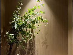 -上足·影院足道·SPA(红岭店)