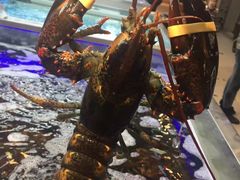 -盒马鲜生(宝地店)