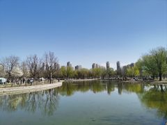 -泰丰公园