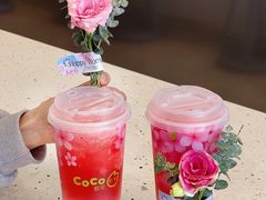 -CoCo都可(崇川万象城店)
