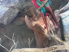 -武汉动物园