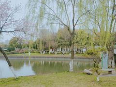 -中央公园(苏州工业园区)