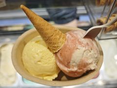 -极拉图·现制冰淇淋(梅溪湖新天地步步高店)