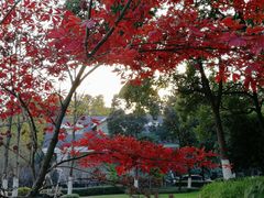 -上海市保健医疗中心(华东疗养院)
