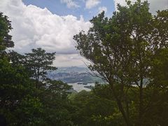 -梧桐山风景名胜区