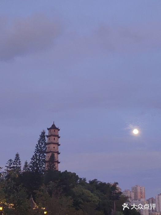 江心屿景区图片