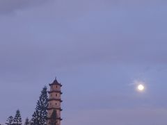 -江心屿景区