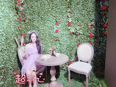 -爱丽丝冒险奇遇记