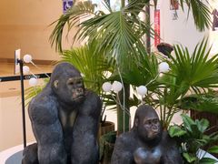 -深圳龙华星河COCO City(民治店)