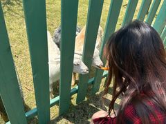 -南京金牛湖风景区