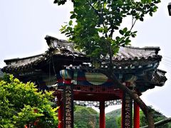 -双新垂钓园