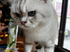 -重庆熙街