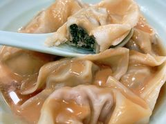 特色荠菜肉馄饨-潘国仙耳光馄饨(黄家阙路店)