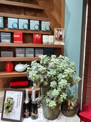-娇玫荟SPA