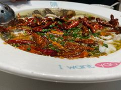 -姚姚酸菜鱼·金戈戈香港豉油鸡(喜荟城联名店)
