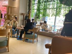 -藏猫猫咖啡主题馆(中央大道店)