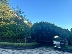 -青岛鑫江温德姆酒店