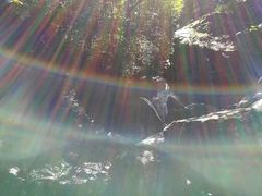 -藏龙百瀑风景区