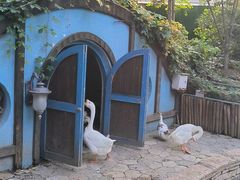 -南宫五洲植物乐园