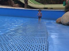 -亚马逊丛林水乐园