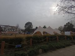 -黄龙溪古镇