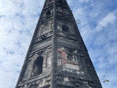 -上海佘山国家森林公园天马山园