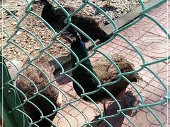 -南京金牛湖风景区